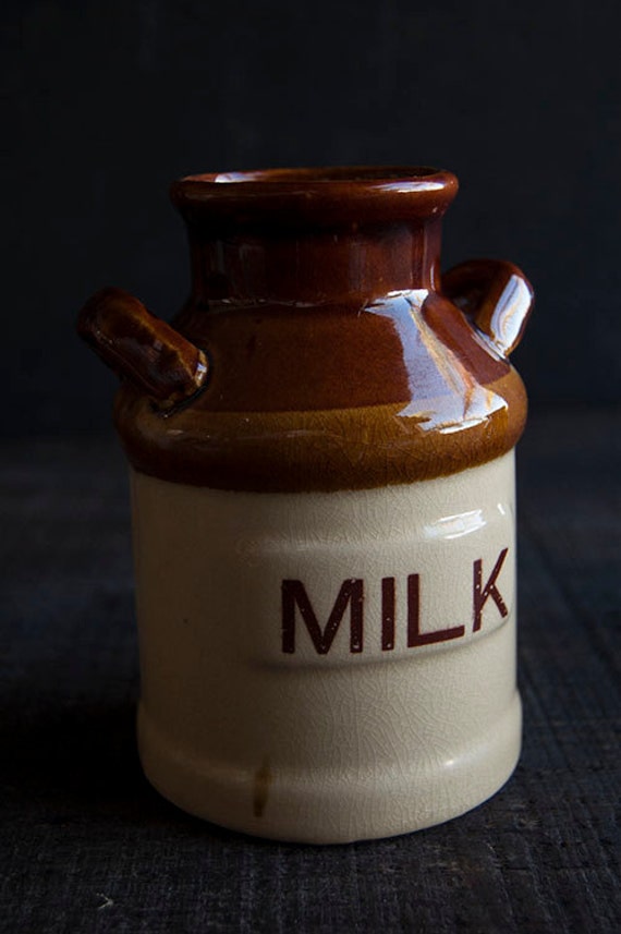 Ceramic Farmhouse Jugs Storage Bottle Vases Vintage Brown