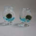 Handblown Miniature Glass Marimo Moss Ball Habitats