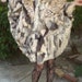 Luxury Fur Cape Insane Avant Garde Coat