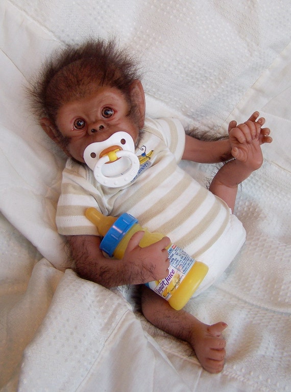 baby chimpanzee monkey