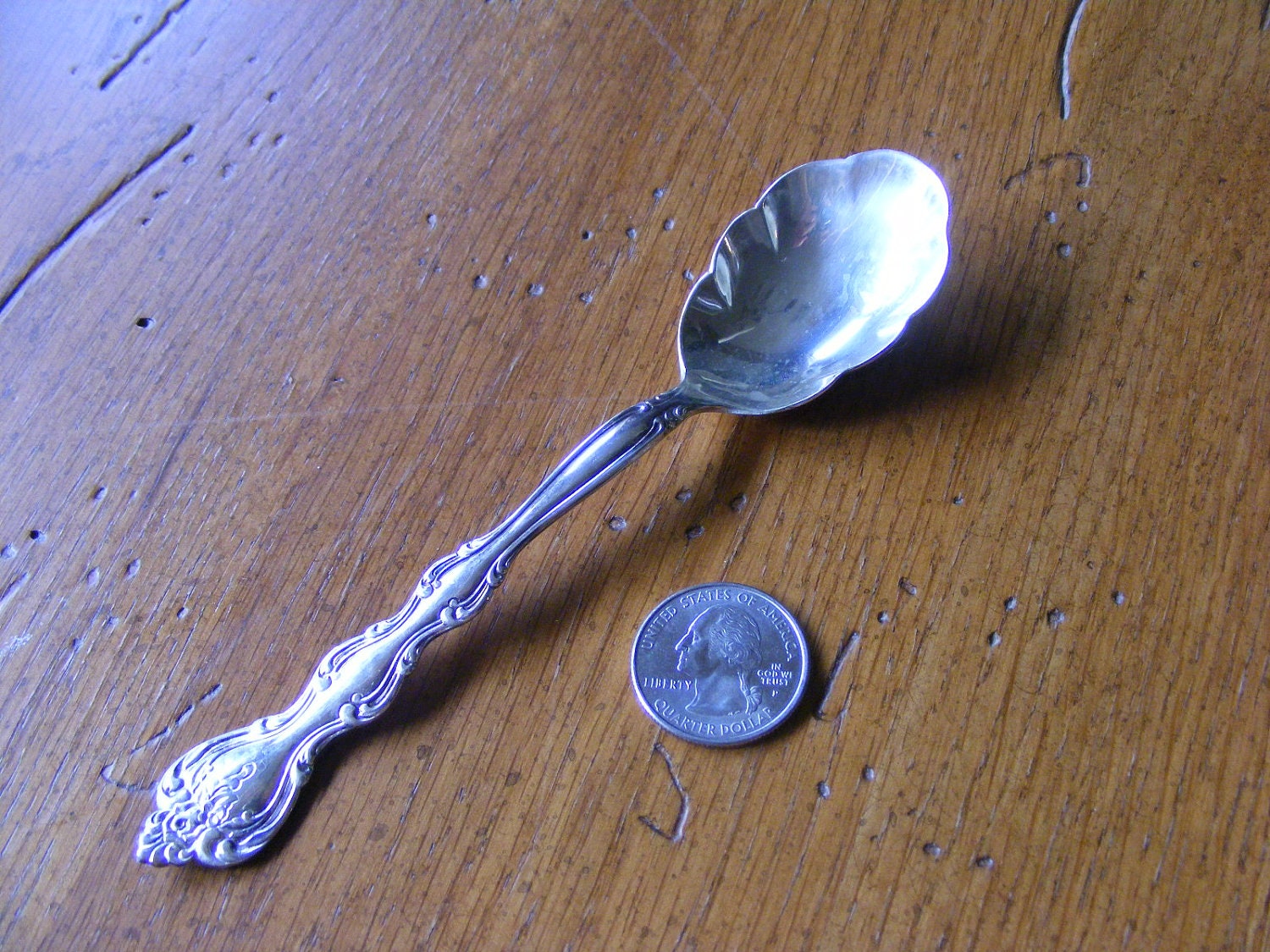 Sugar Shell/SpoonServing UtensilRelish PlateVintage Haute Juice