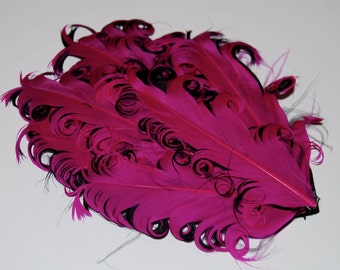 Curly Feather Pad - Two Tone Raspberry Dark Pink on Black FP131- (1 piece)
