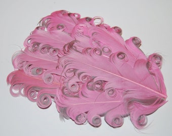 Curly Feather Pad - Two Tone Pink on Gray FP222- (1 pc)