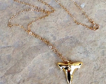 Shark Tooth Necklace - Gold Jewelry - Chain Jewellery - Charm - Pendant