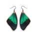 Real Green Butterfly Earrings - Papilio Albertisi
