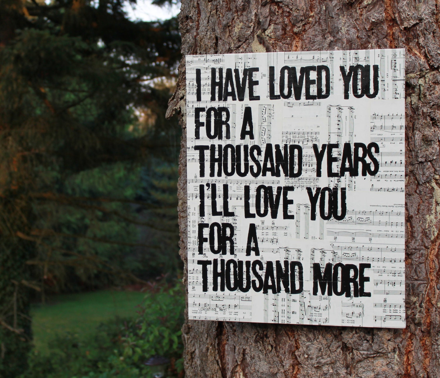 song a thousand years