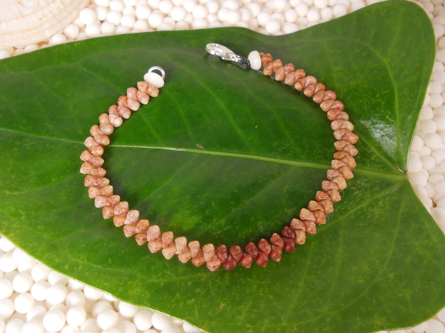 Hawaiian Kahelelani Shell Bracelet Sterling Silver Clasp Kauai