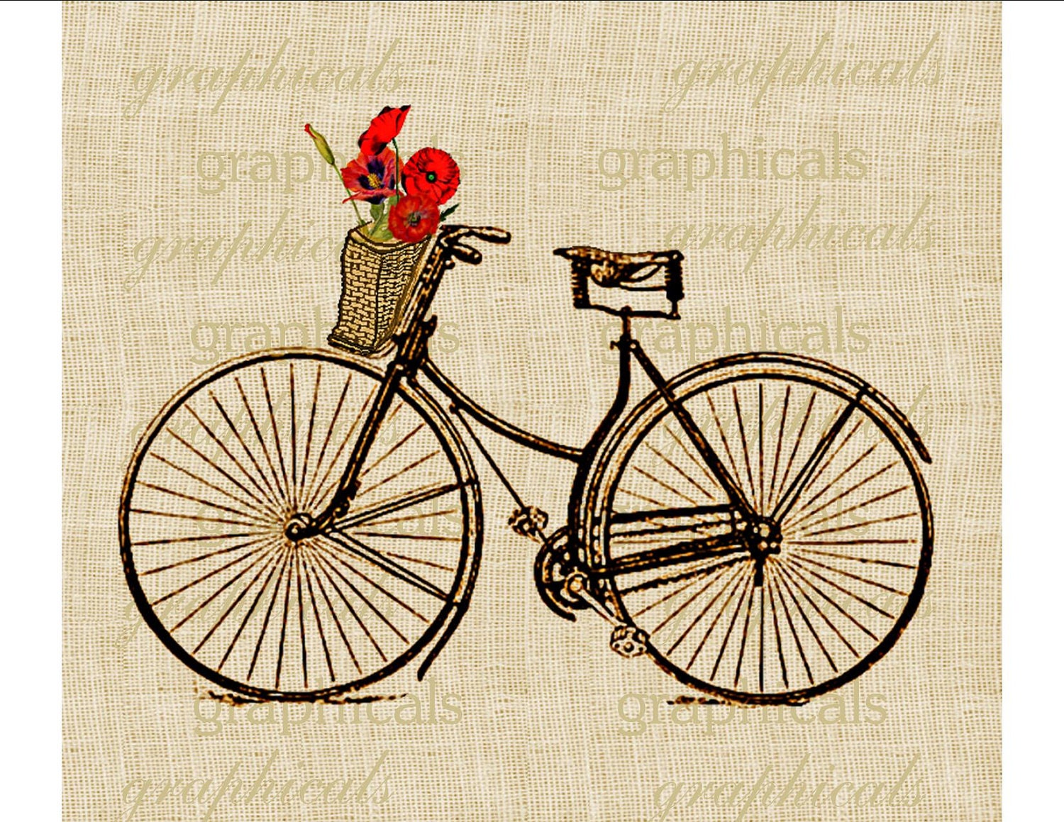 Vintage Bicycle With Basket 95