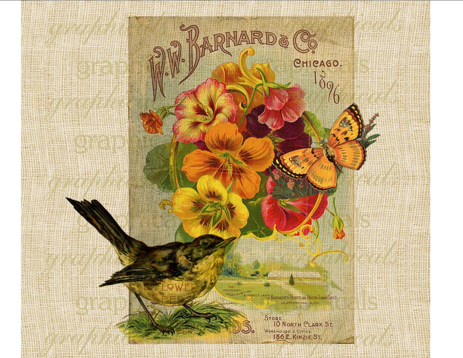 clipart vintage seed packets - photo #4