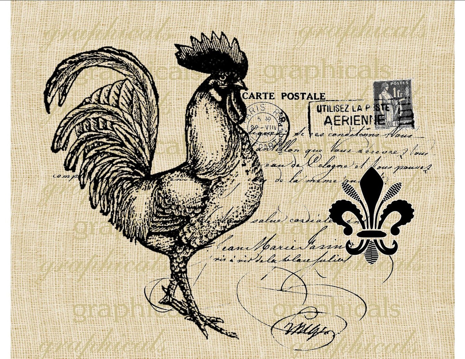 Rooster instant clip art digital download image French writing