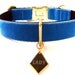 Custom Blue Velvet Dog Collar 1"