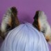 realistic wolf ears