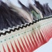 Feather headdress with red triangles and teal dots