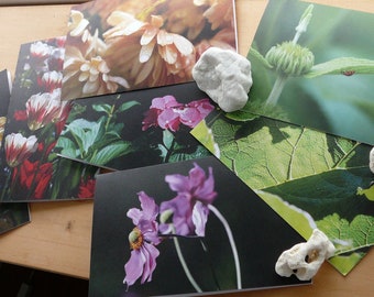 7 Recycled Blank Photo Cards of Vancouver Island: Support Lyme Disease Foundation