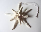 Double Starfish Ornament