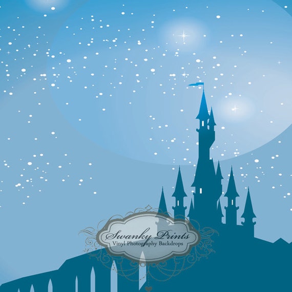 NEW ITEM 4ft x 4ft Vinyl Photography Backdrop / Cinderella