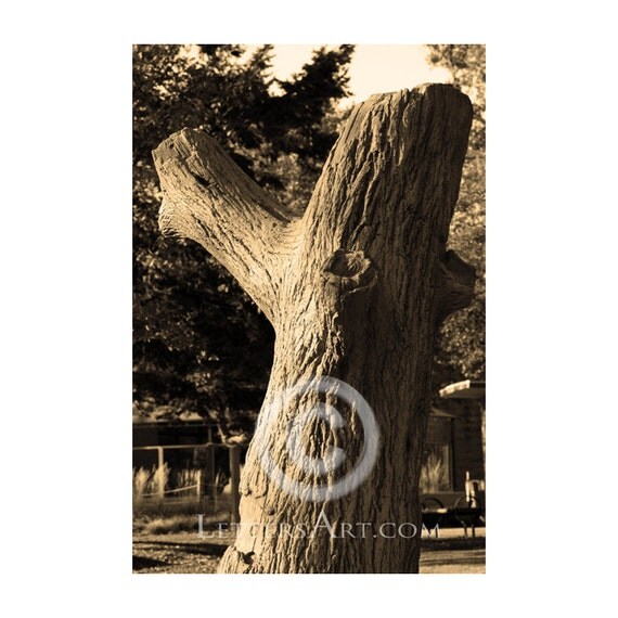 printable letter art only 199 4x6 individual photo download