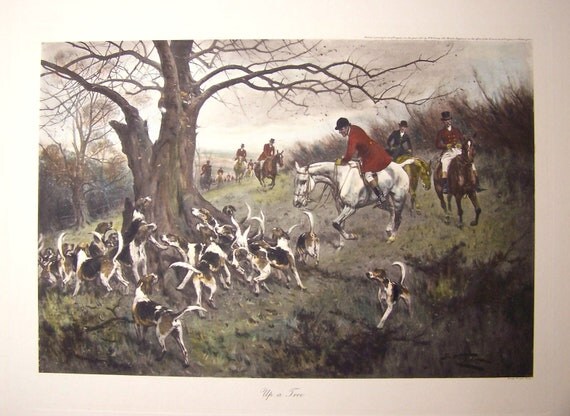 Large Vintage FOX HUNTING PRINT ‘Up A Tree’ by