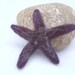 Felted Starfish, Purple sea star, needlefelted animal