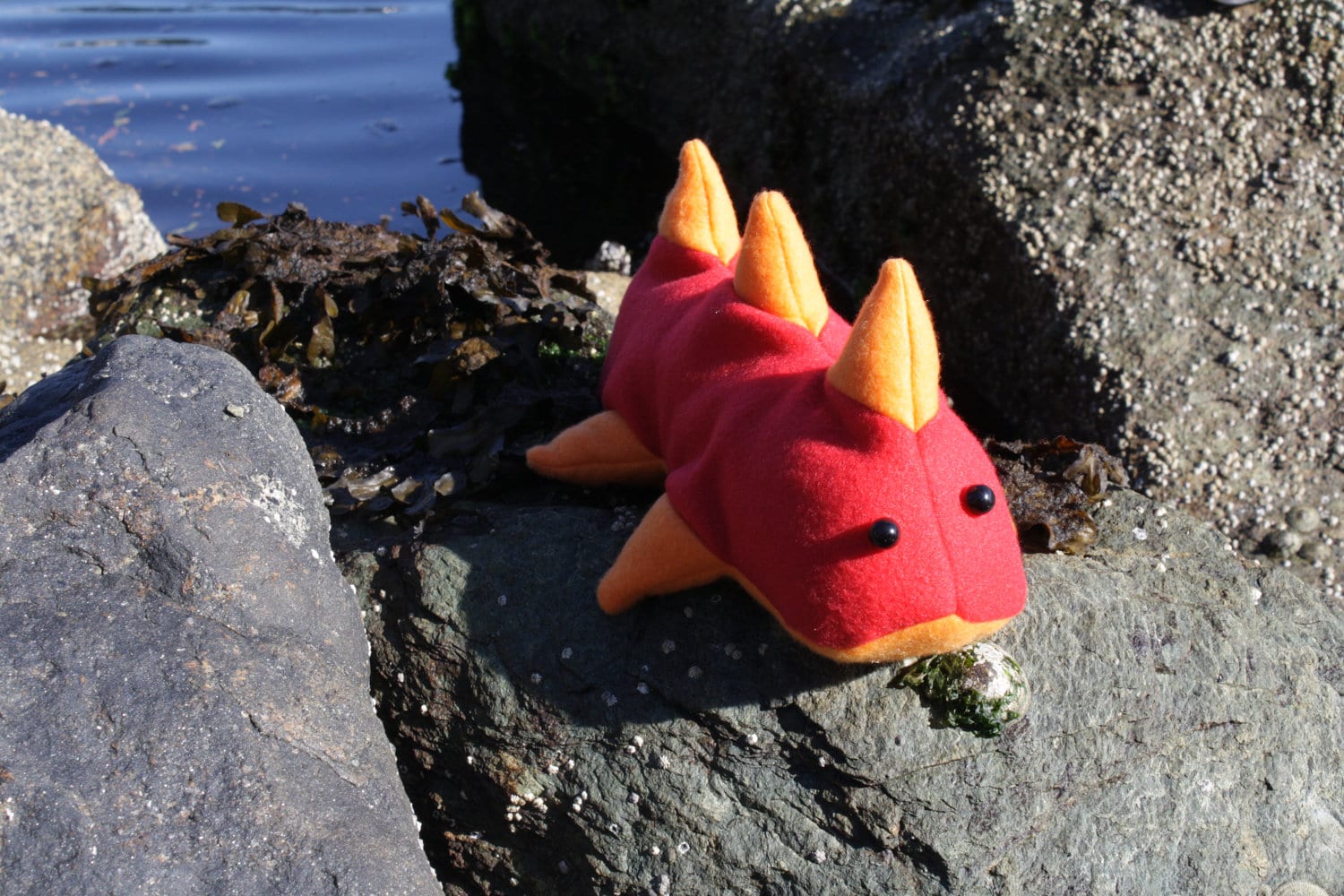 sea cucumber plush