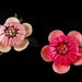 RESERVED For Krys: Matching Enamelled Flower Brooch Set Pretty In Pink