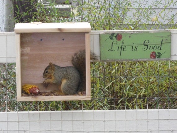 Large Cedar Squirrel Feeder