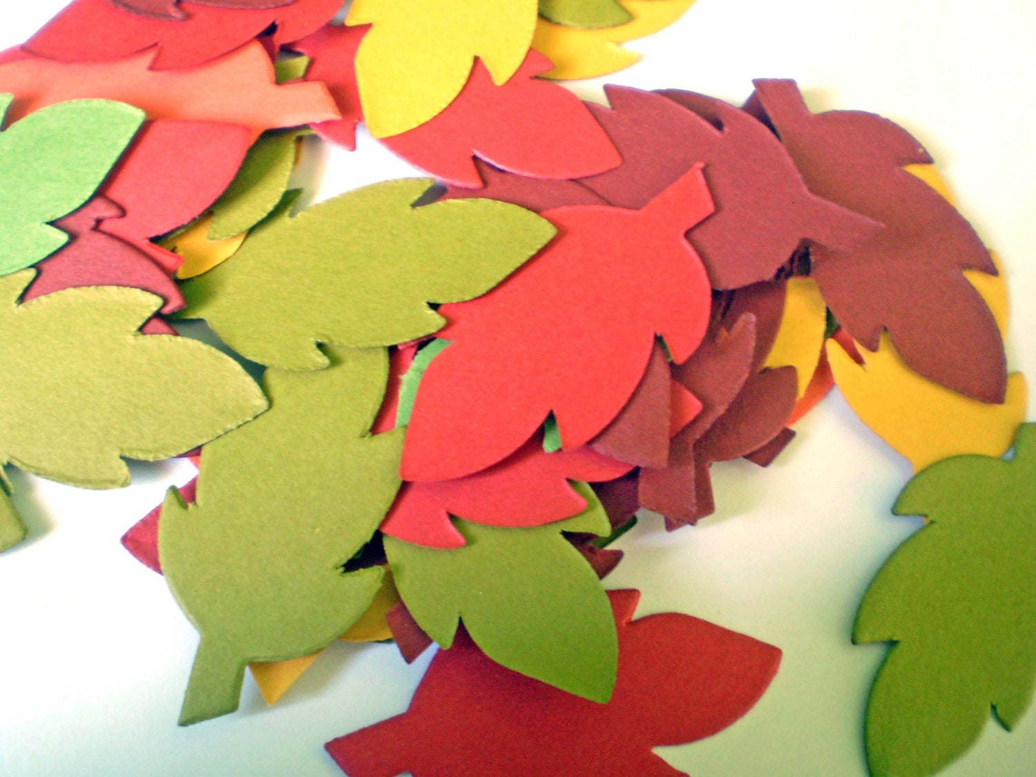 It is a picture of Vibrant Small Fall Leaves This is a picture of Vibrant Small Fall Leaves