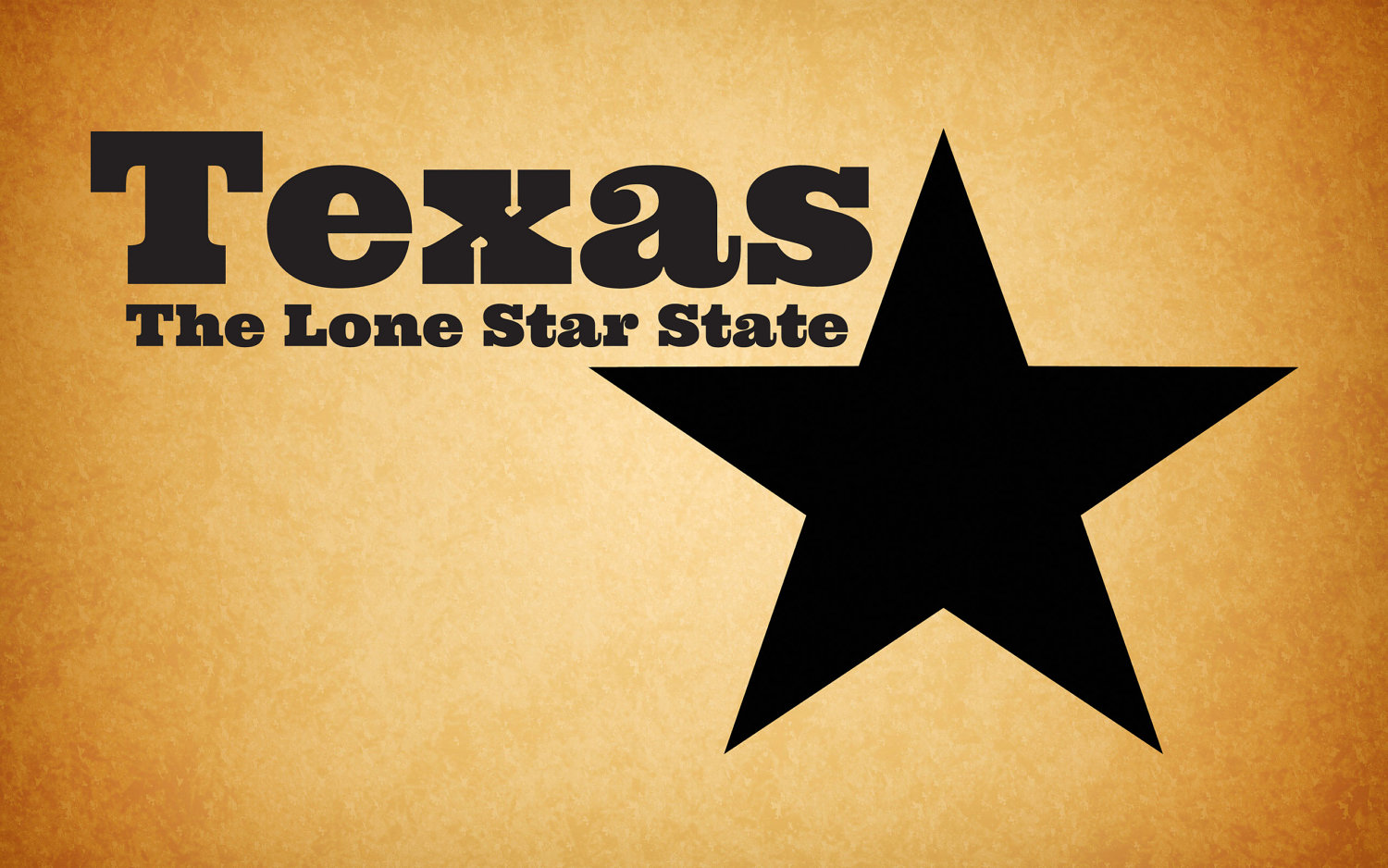 texas the lone star state.