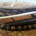Men's Bracelet - Mesmerism - Wood, Glass, Stone, Horn, Fiber - Fits Perfectly