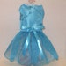 Elegant teal dog dress