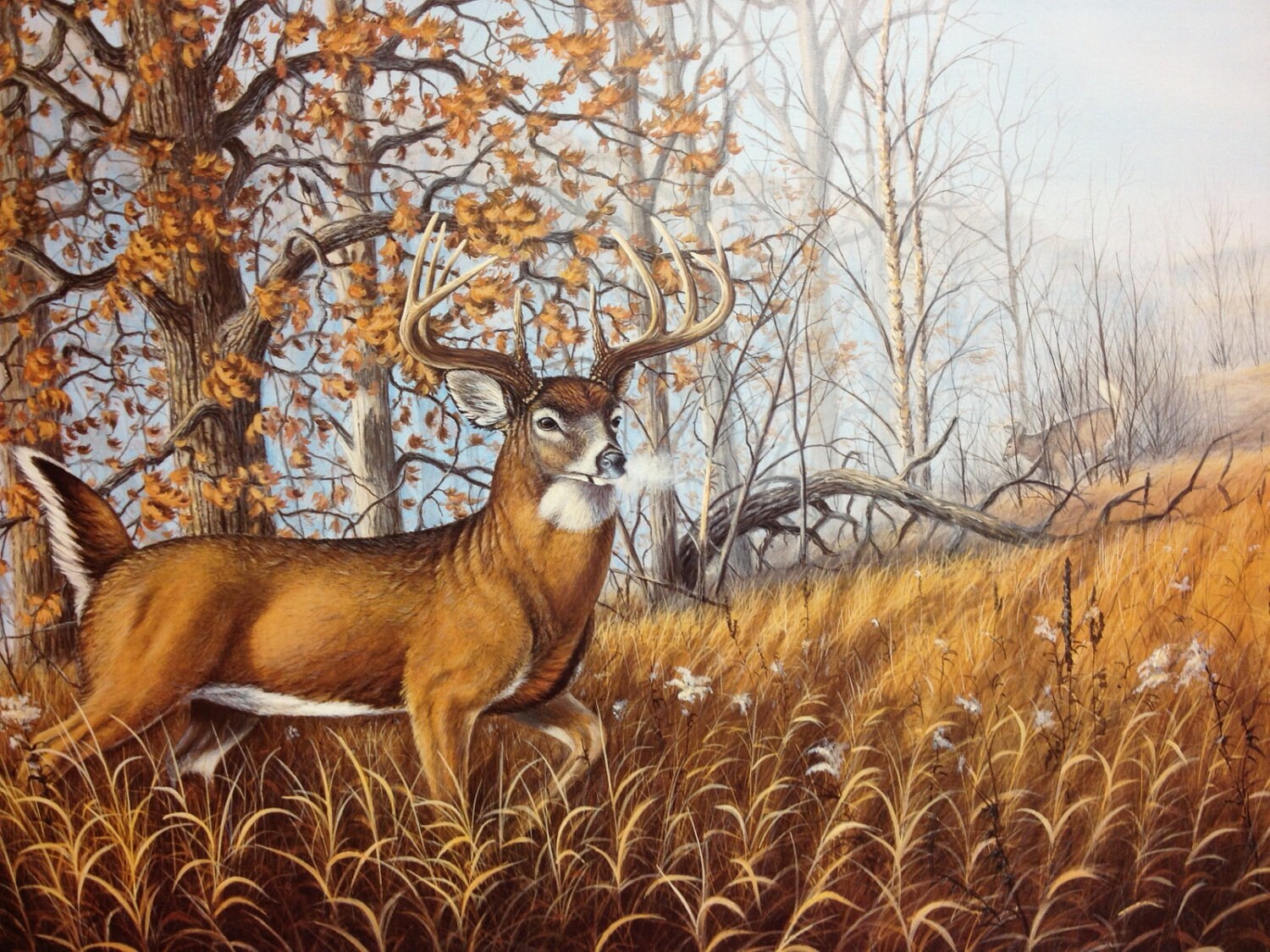 Deer marie. Пейзаж с оленем. Пейзажи оленей живопись. Картина зимний пейзаж с оленем. Пейзажи с оленями 19 века.