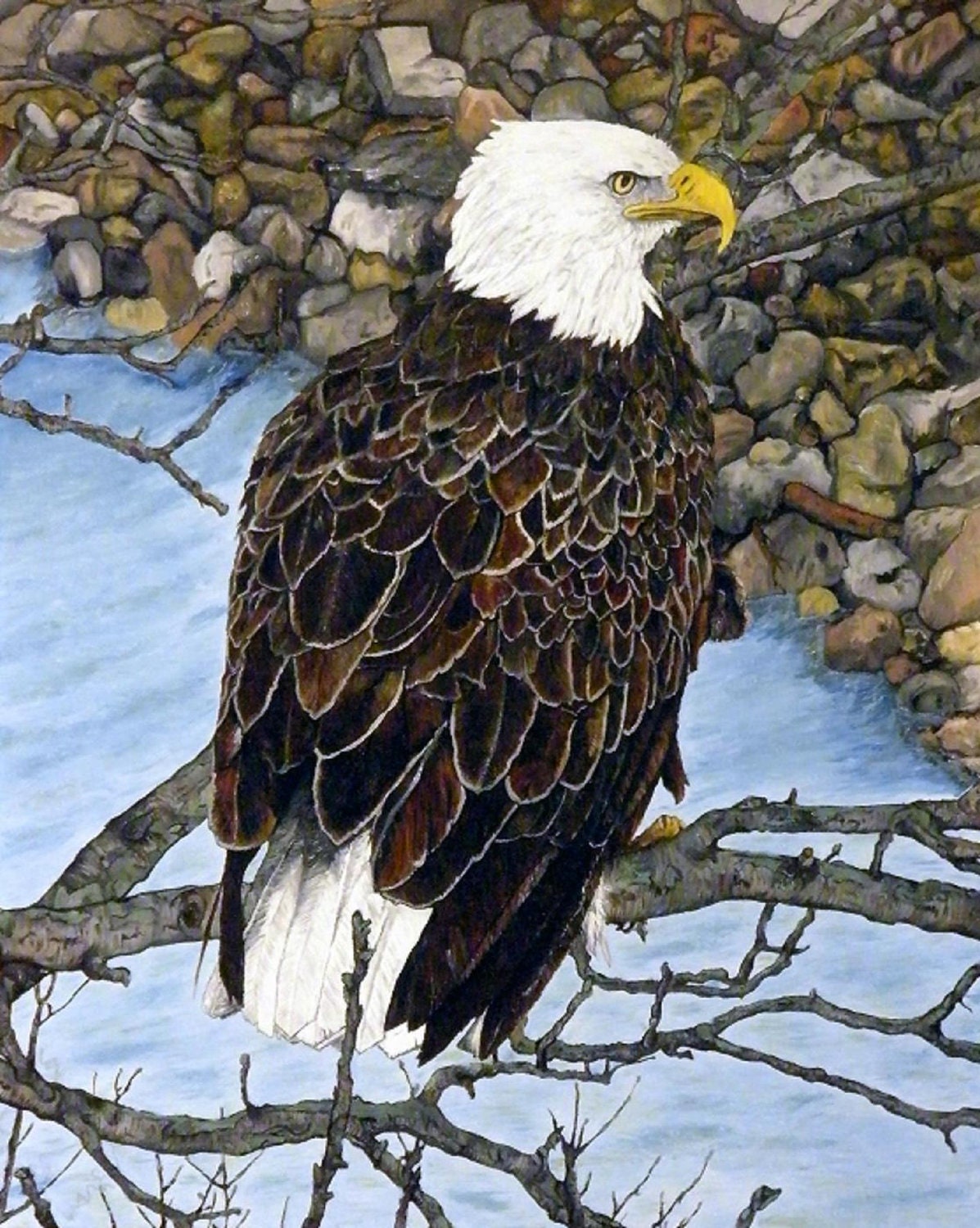 Original oil painting of a Bald Eagle perched above by ManemannArt