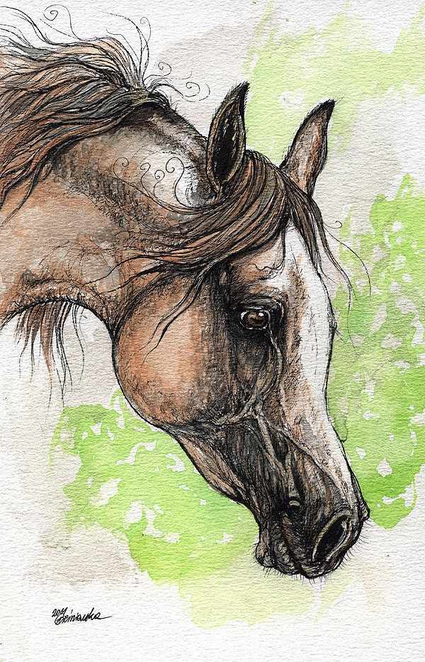 Download the arabian horse watercolor painting