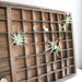 RESERVED / printers letterpress drawer tray