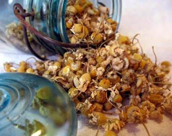 Organic German Chamomile Tops, 1/2 pound bulk dried herbs. Chamomile flowers