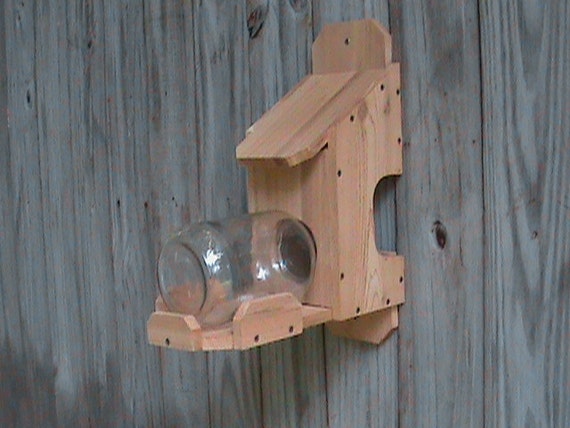 Squirrel Feeder: Medium Glass Jar