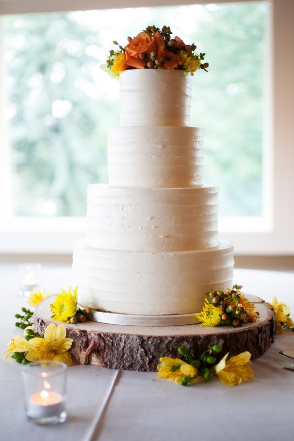 Rustic Tree Wedding Cake 1