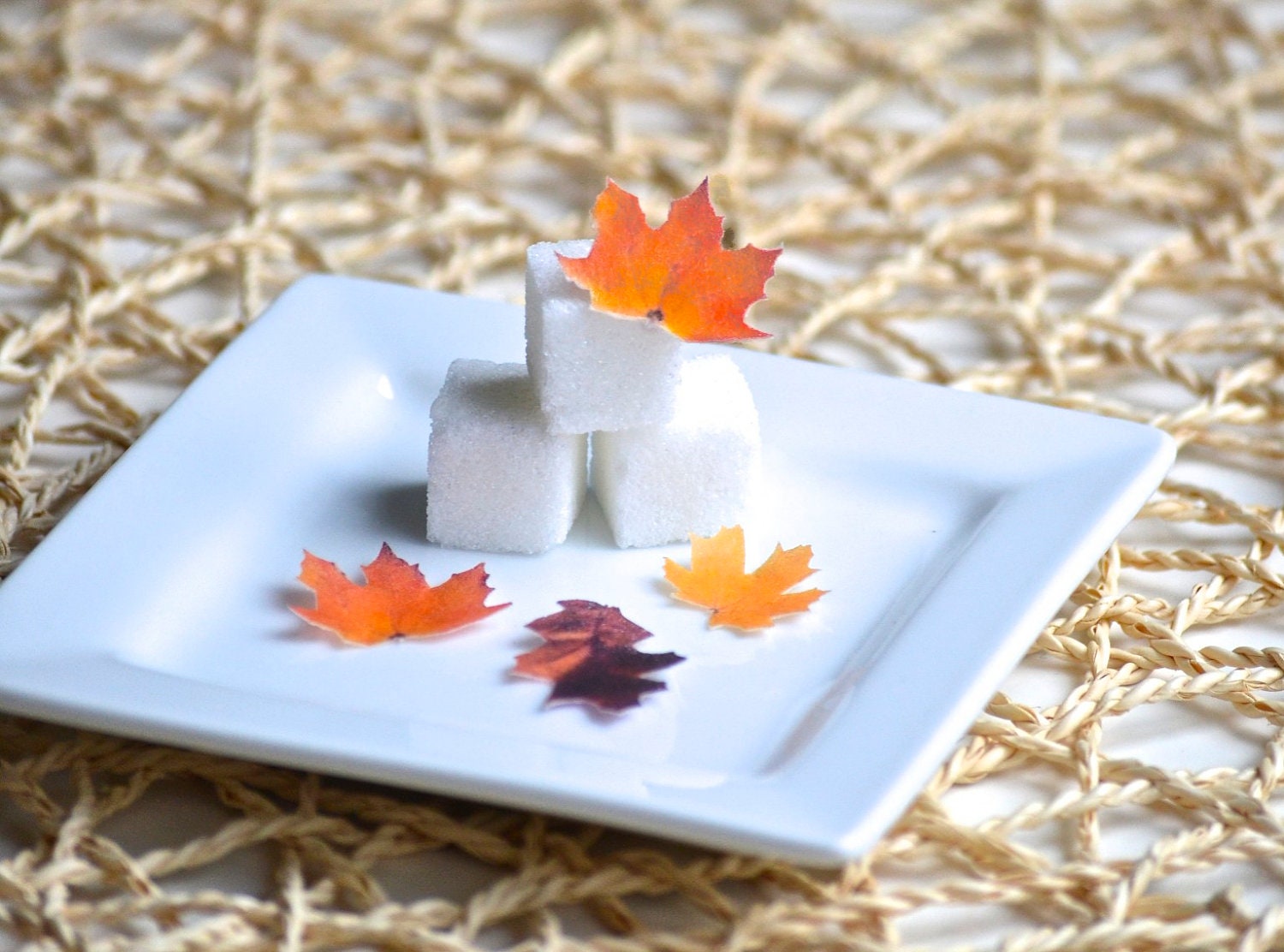 Wedding Cake Topper Itsy Bitsy Mini Edible Fall Leaves Set