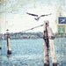 Flat Meadow Cove No. 2 - framed 8" x 10" original mixed media on paper - seagull nautical beach collage with typography text