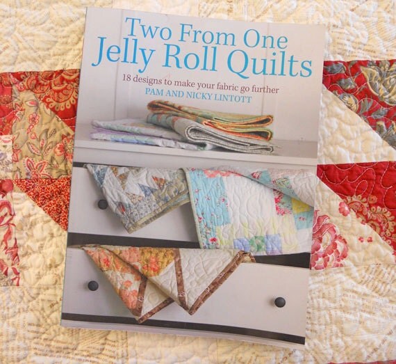 Two From One Jelly Roll Quilts by Pam and Nicky Lintott