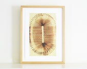 Etching Print . Mint Green and Brown . Minimalist . Architectural: Fossil . Print Size 13" x 19"