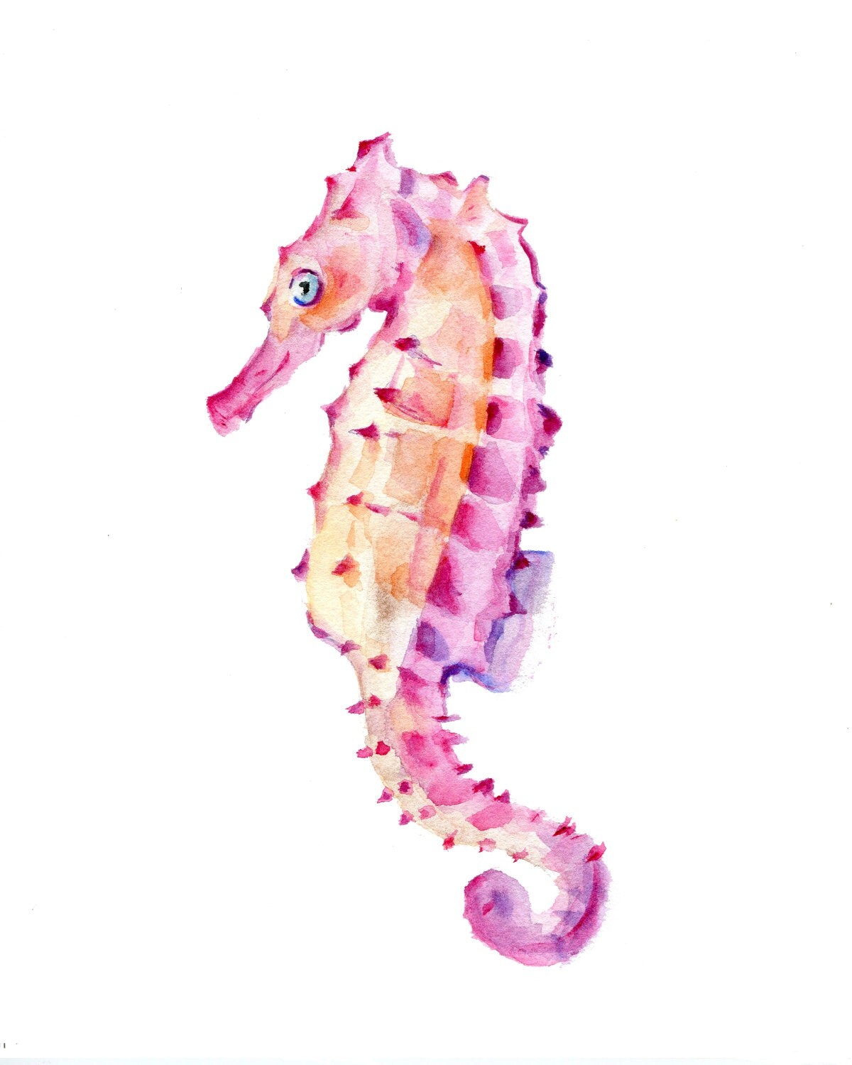 seahorse print 8 x 10 from original by marysflowergarden seahorse print 8 x 10 from original by marysflowergarden