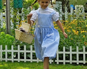 Dorothy Costume