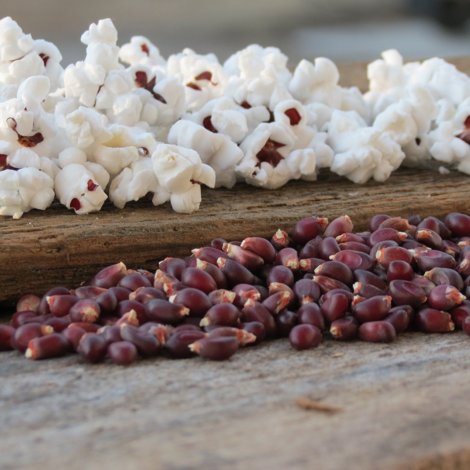 Ruby Red Gourmet Popcorn Kernels Southern by LovelandAcresPopcorn