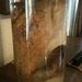 Huge Full Coyote Leg in Jar - Preserved Wet Specimen Taxidermy