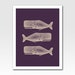 Art Print A4 Print Etched Looking Print Three Whales Home Décor Original Design by Adidit Print no. 085