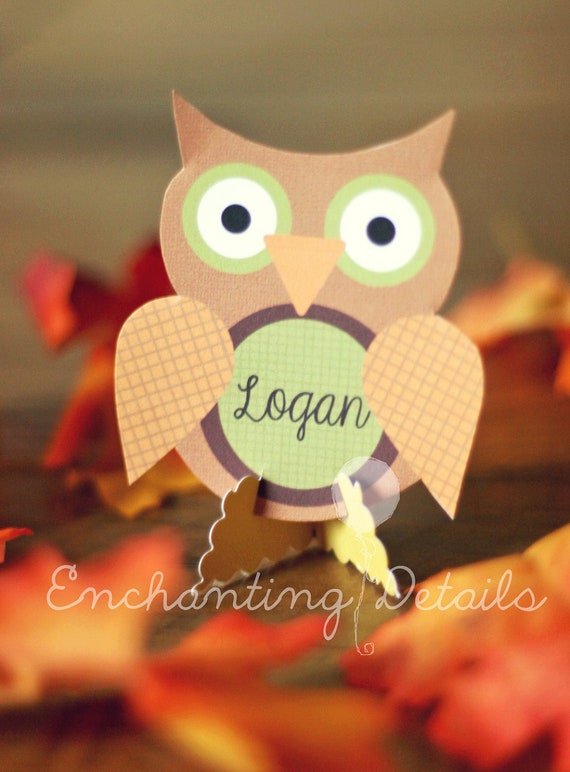 INSTANT DOWNLOAD Printable Owl Place Cards- DIY/Customize Editable in Adobe Reader Il_570xn