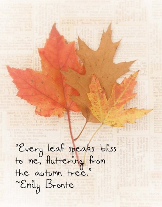 Fall Leaves Autumn Emily Bronte Quote FoilageTawny Brown Red