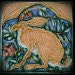 Running Hare