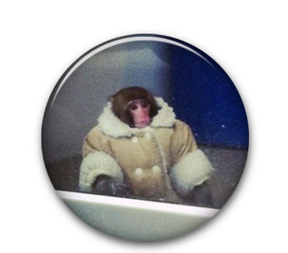 ikea monkey plush